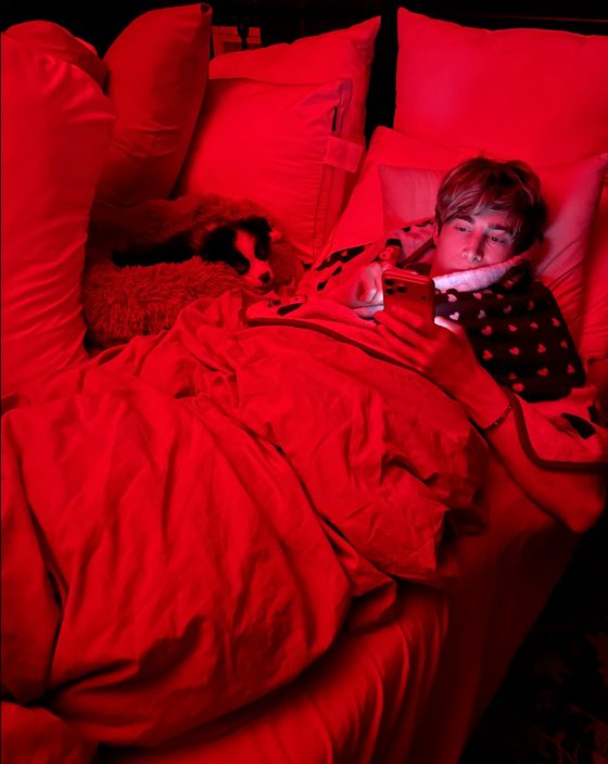 Charlie curled up on a pillow next to Fluffy in red light